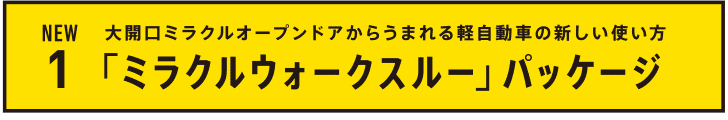 NEW1 「ミラクルウォークスルー」パッケージ